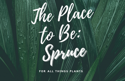 The Place To Be: Spruce 